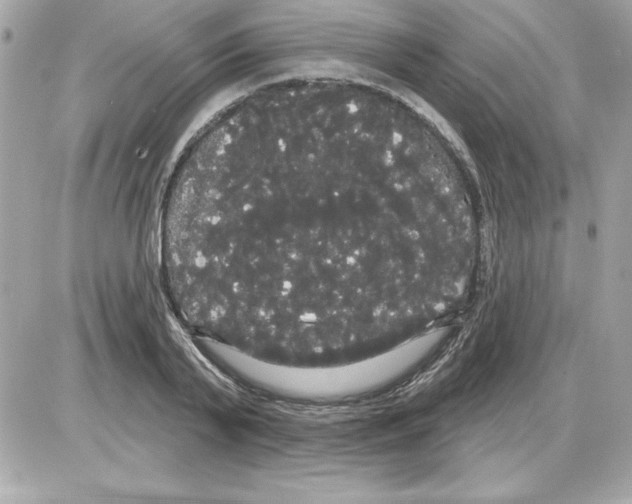 X0000085220791200704091930