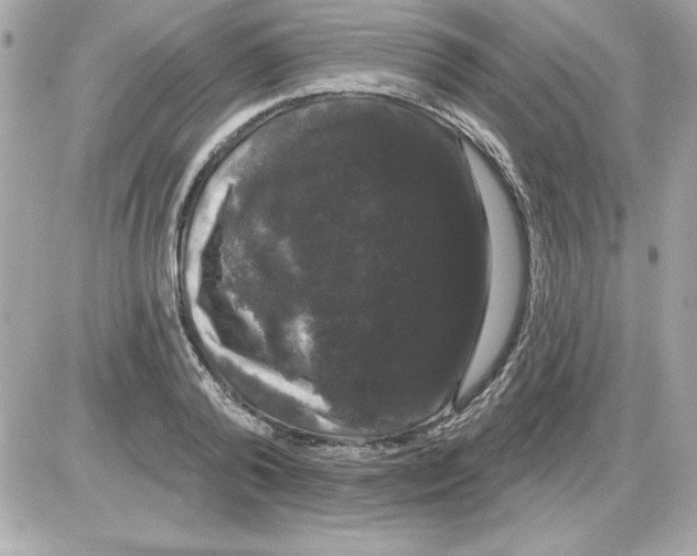 X0000085220792200704091930