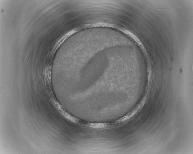 X0000085220793200704091930