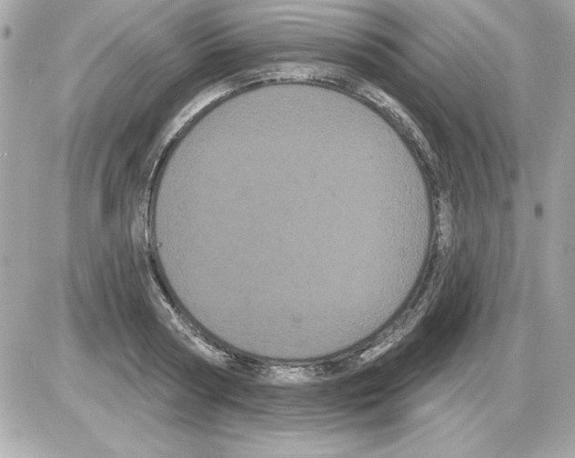 X0000085220794200704091930