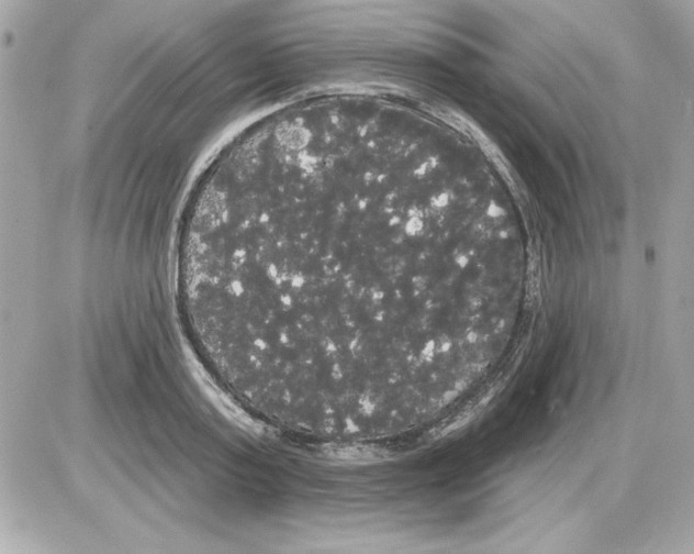 X0000085220795200704091930