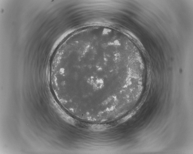 X0000085220796200704091930