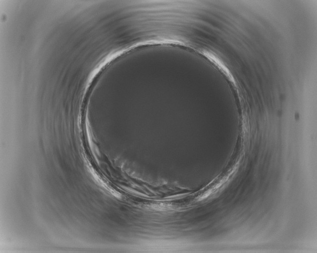 X0000085220797200704091930