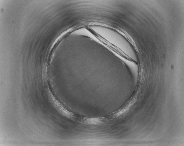 X0000085220798200704091930