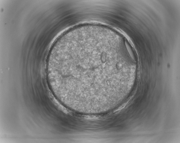 X0000085220799200704091930