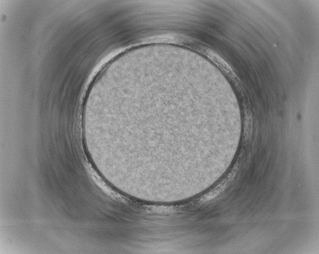 X0000085220800200704091930