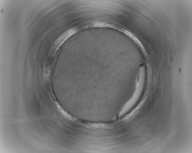 X0000085220801200704091930