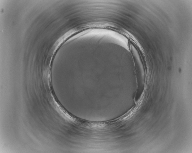 X0000085220802200704091930