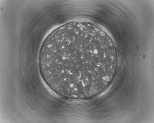 X0000085220803200704091930