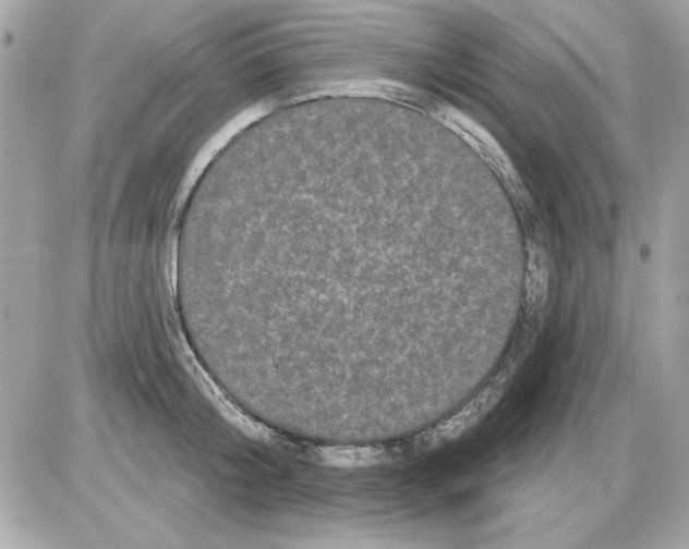 X0000085220804200704091930