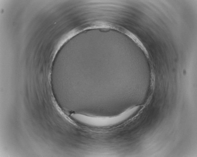 X0000085220805200704091930