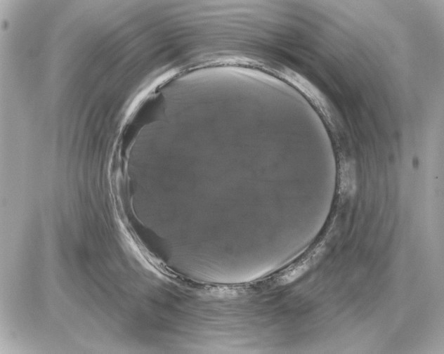 X0000085220806200704091930