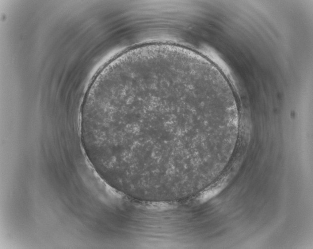 X0000085220807200704091930