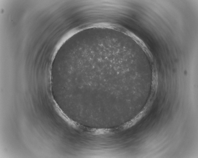 X0000085220808200704091930