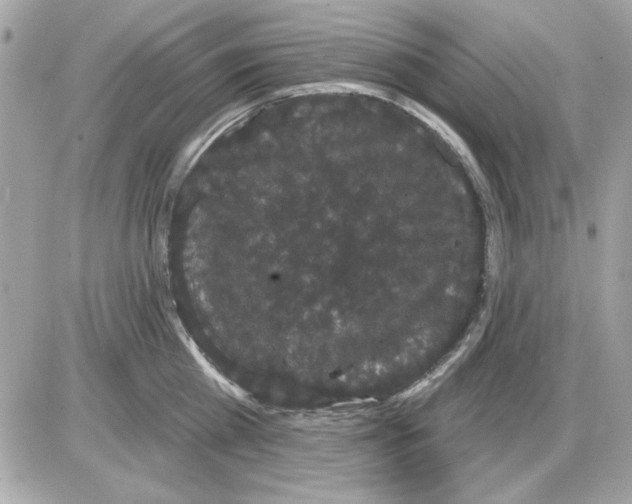 X0000085220809200704091930