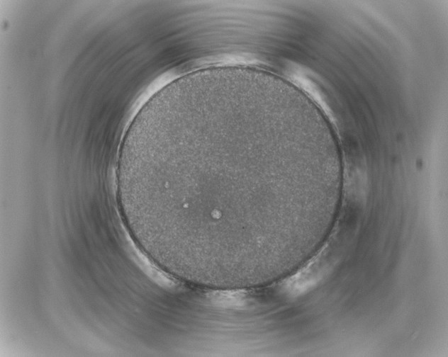 X0000085220810200704091930