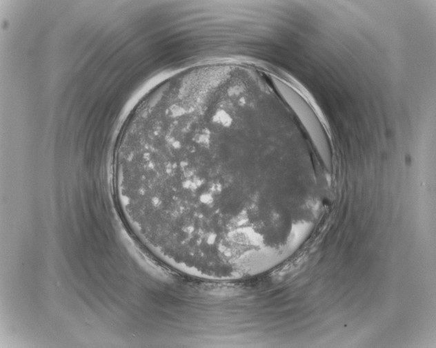 X0000085220811200704091930