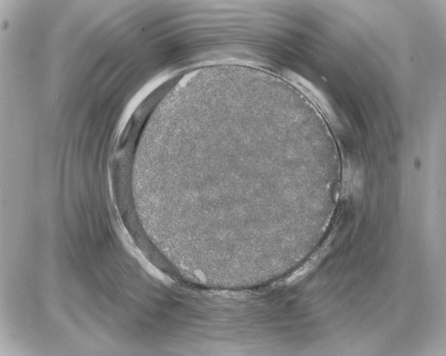 X0000085220812200704091930