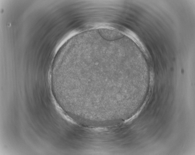 X0000085220814200704091930