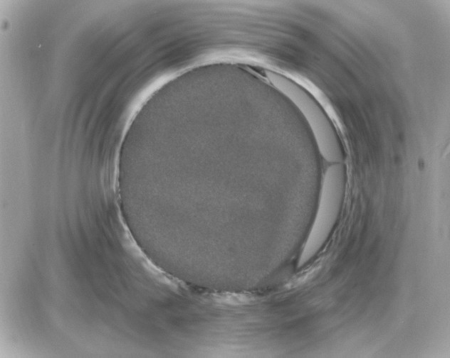 X0000085220815200704091930