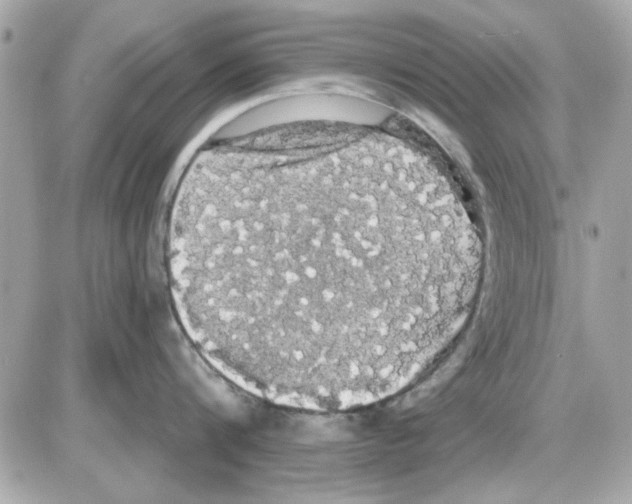 X0000085220816200704091930