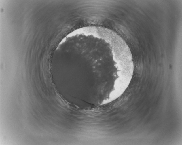 X0000085220817200704091929