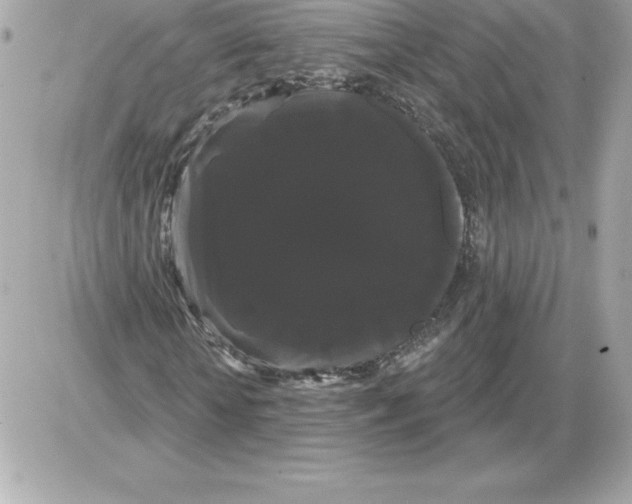 X0000085220818200704091929