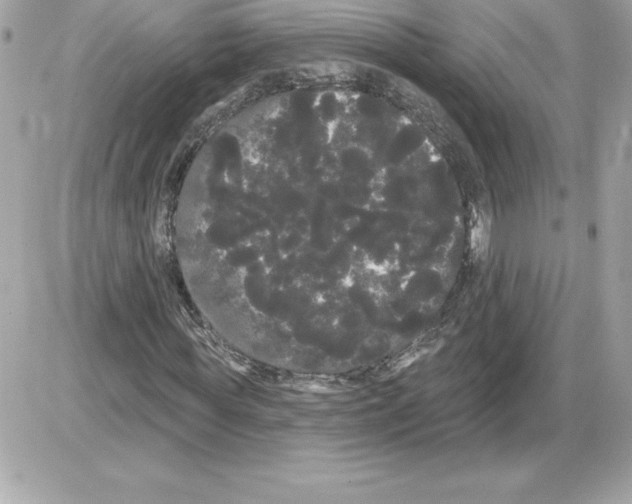 X0000085220819200704091929