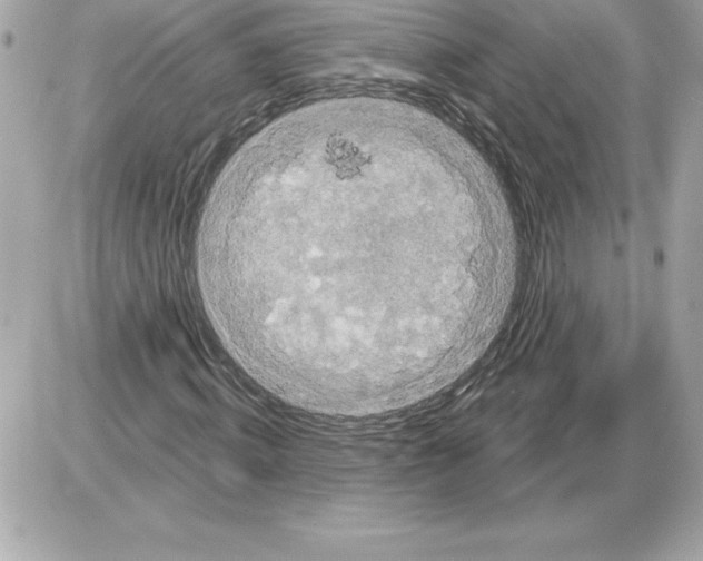 X0000085220820200704091929