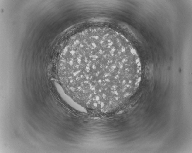 X0000085220821200704091929