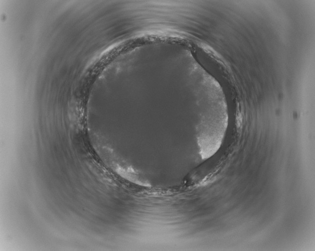 X0000085220822200704091929