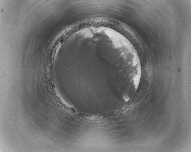 X0000085220823200704091929