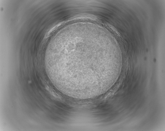 X0000085220824200704091929