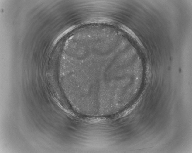 X0000085220826200704091929