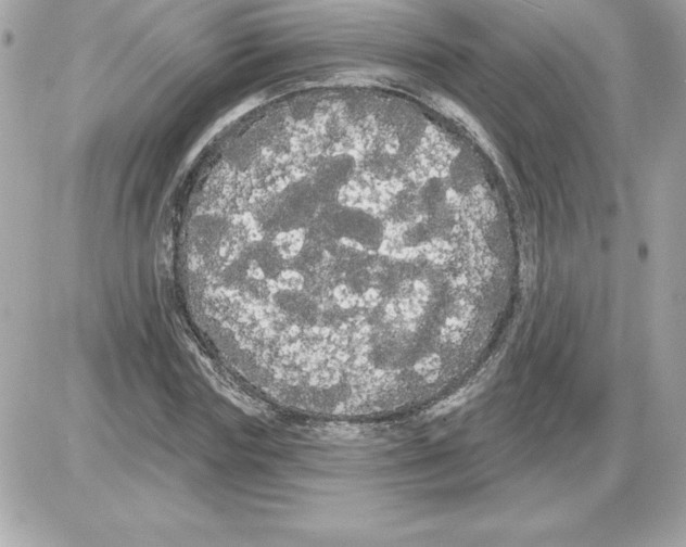 X0000085220827200704091929