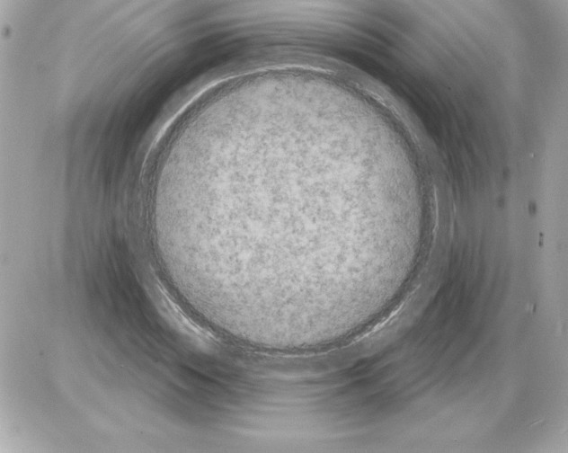 X0000085220828200704091929