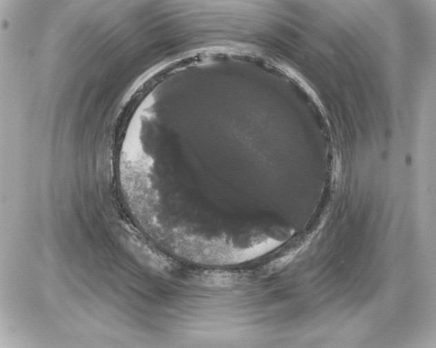 X0000085220829200704091929