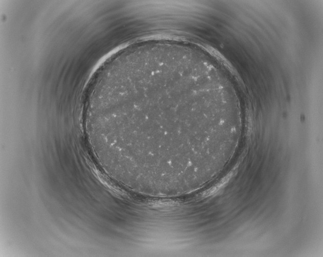 X0000085220830200704091929