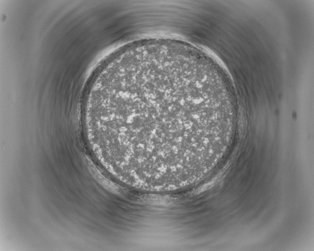 X0000085220831200704091929