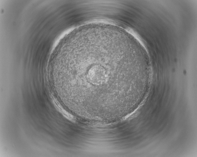 X0000085220832200704091929