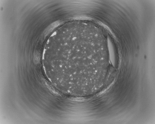 X0000085220833200704091930