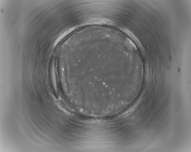 X0000085220834200704091930