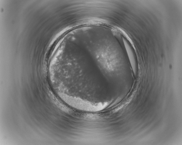 X0000085220835200704091930