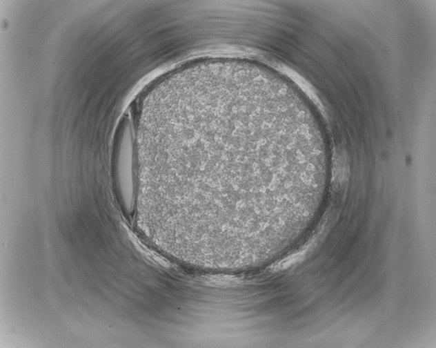 X0000085220837200704091930