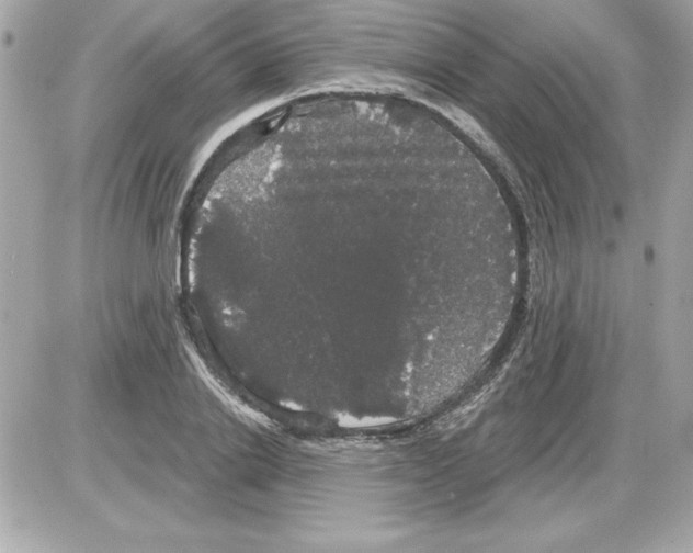 X0000085220838200704091930