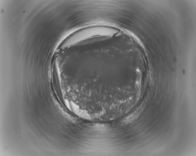 X0000085220839200704091930