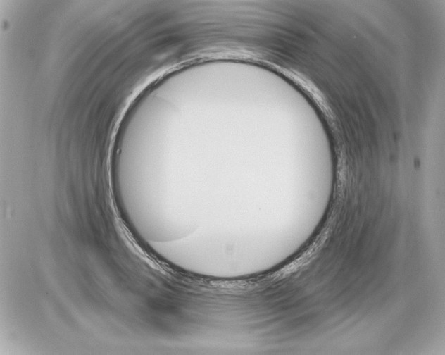 X0000085220840200704091930