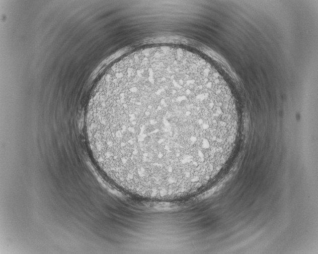 X0000085220841200704091930