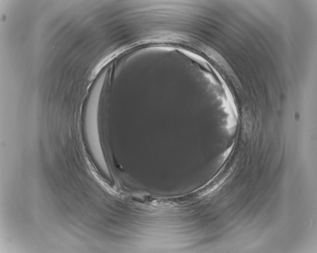 X0000085220842200704091930