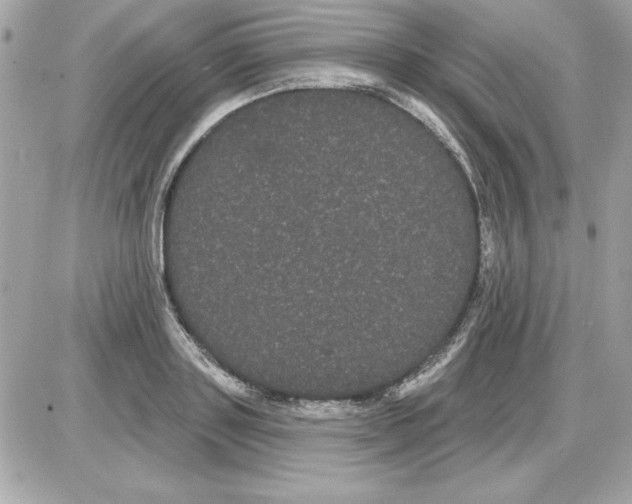 X0000085220843200704091930